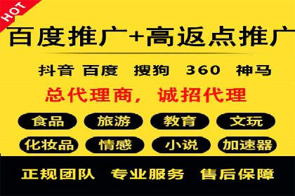 竞价广告赚钱案例：从新手到专家